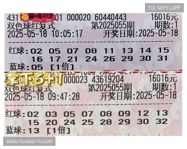 世界杯彩票规则说明实时更新，助力购彩者合理规划投注策略与风险控制